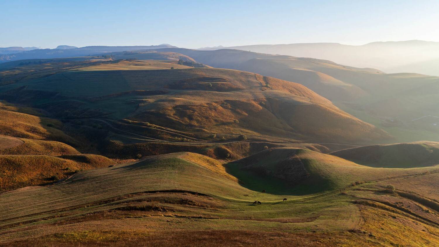 , Шевченко Юрий