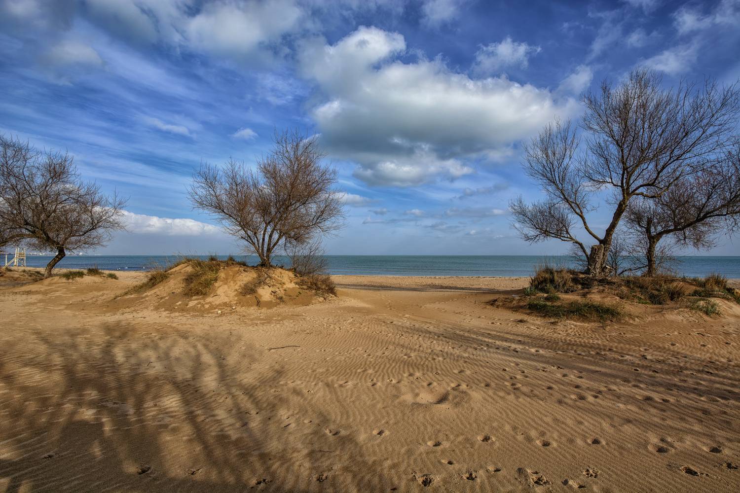 , Владимир Гамаюнов