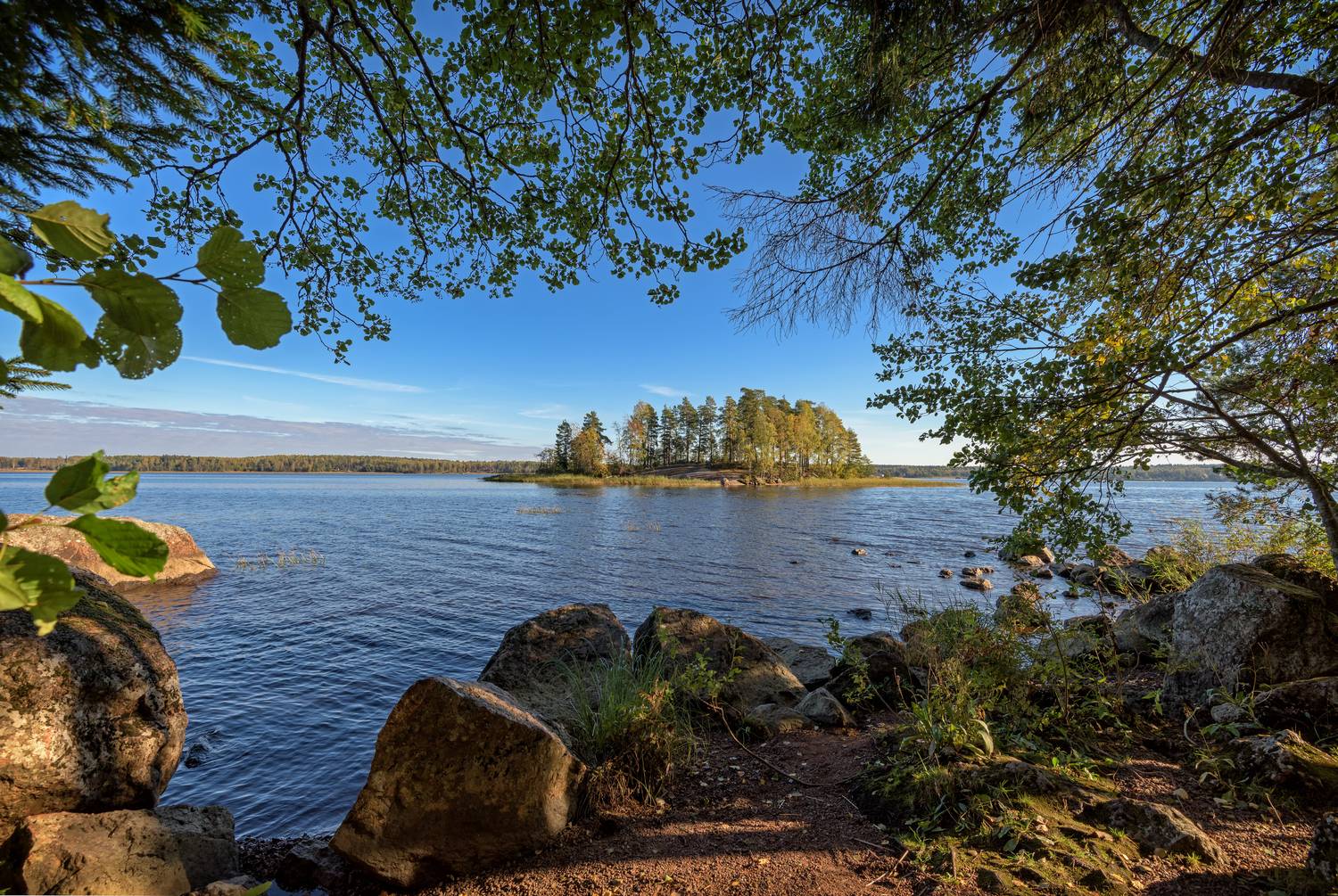 выборг, парк, монрепо, Тихонов Дмитрий