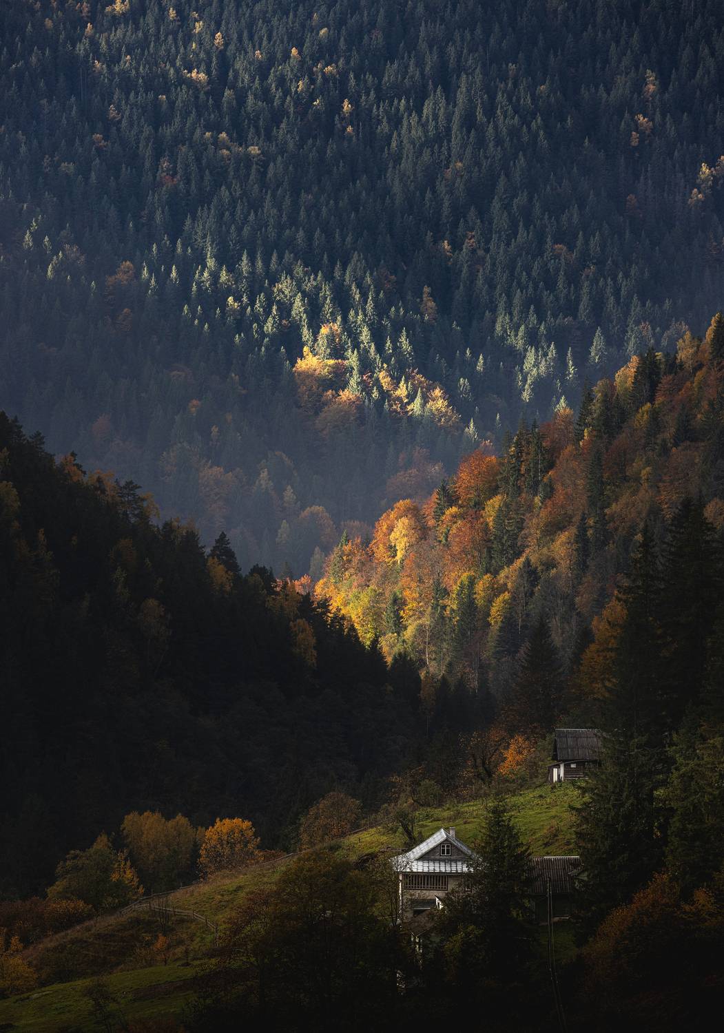 ray of light, Дмитрий Иванов