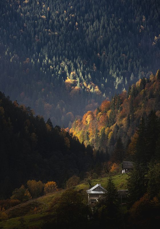 ray of light Ray beyond фото превью