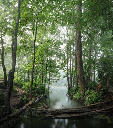 Васильевский ручей