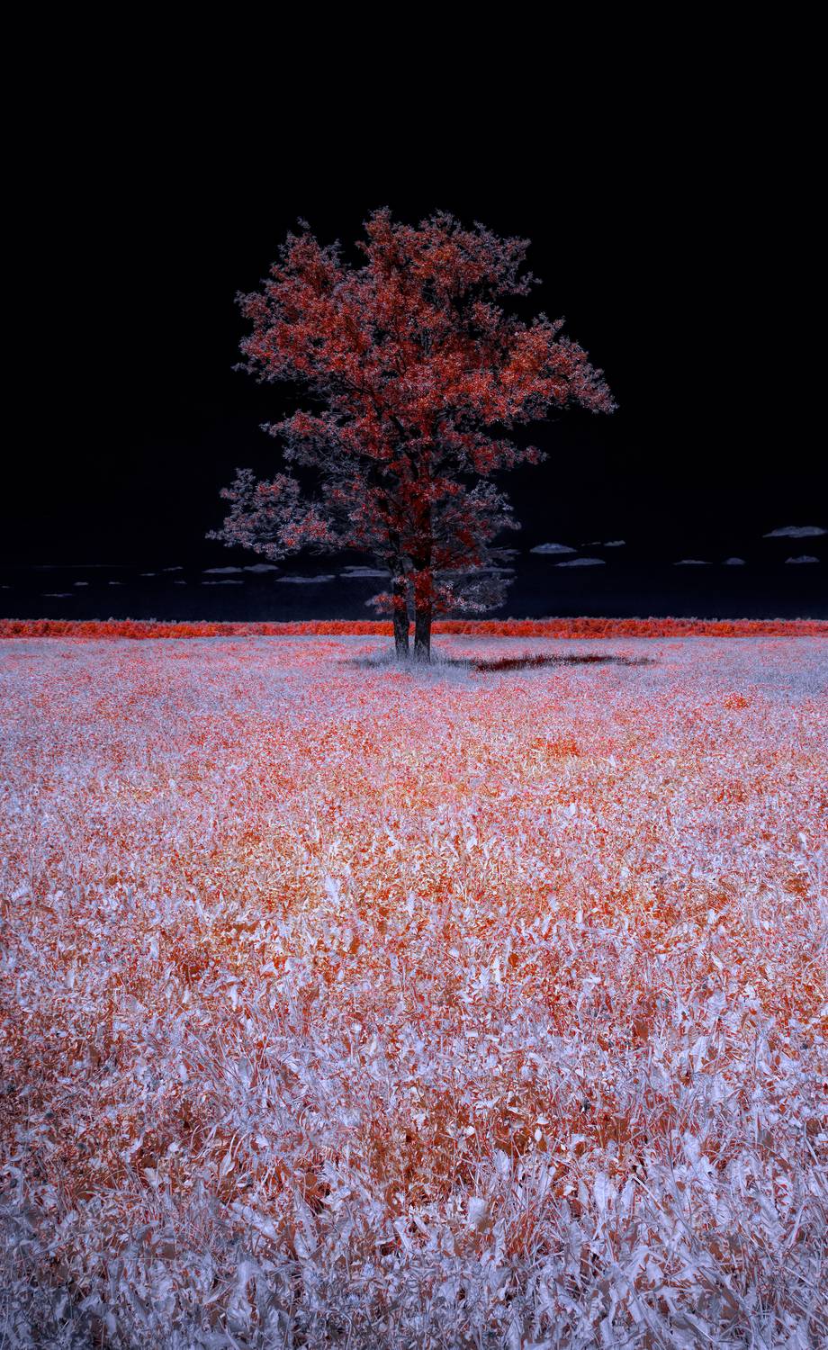 infrared, ик-фото, инфракрасное фото, инфракрасная фотография, пейзаж, лето,  Sixten (Сергей)