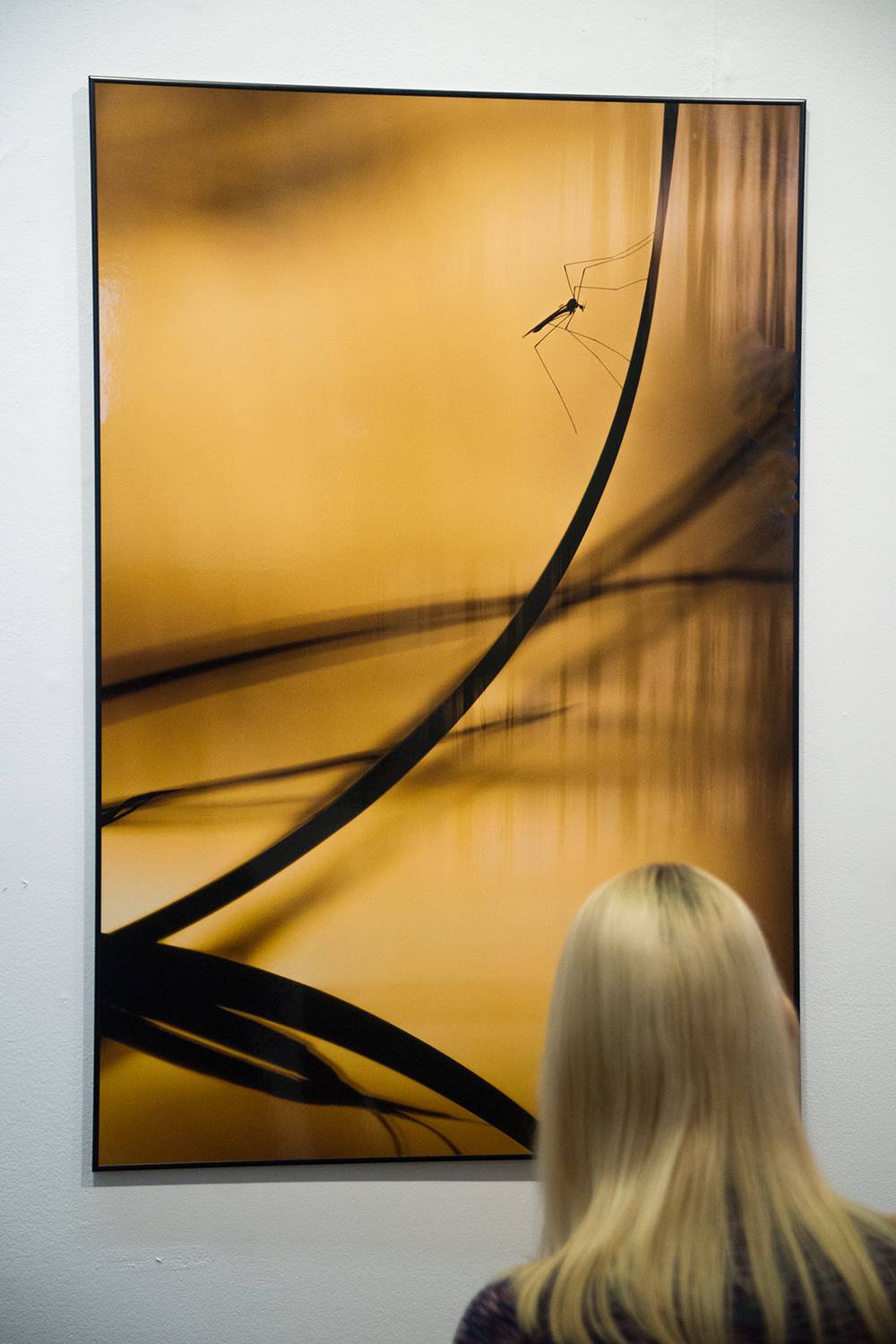 , Свиясов Олег