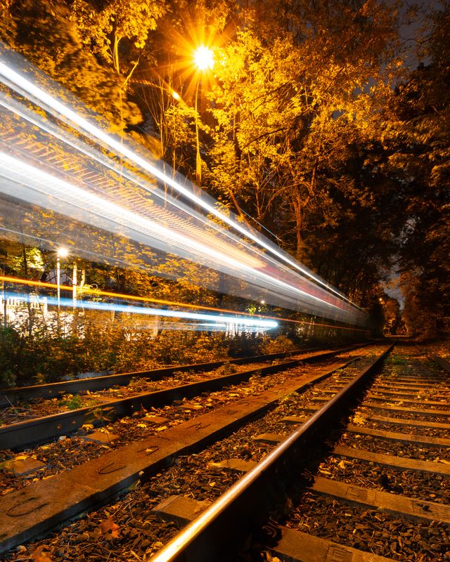 Москва, Россия, осень Лесные гости фото превью