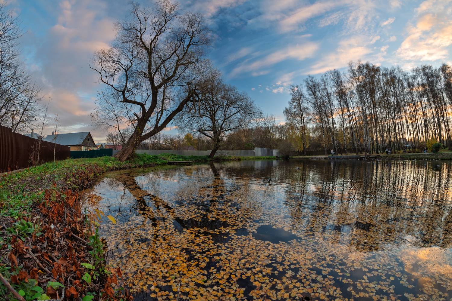 , Алексей Горохов