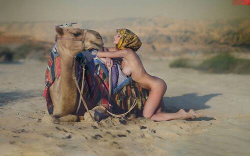 Titanic Of The Desert