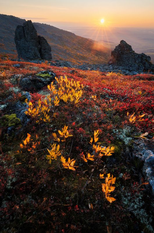 Северный Урал, Урал, тундра, Серебрянский камень, Конжак Сокровища Северного Урала. фото превью