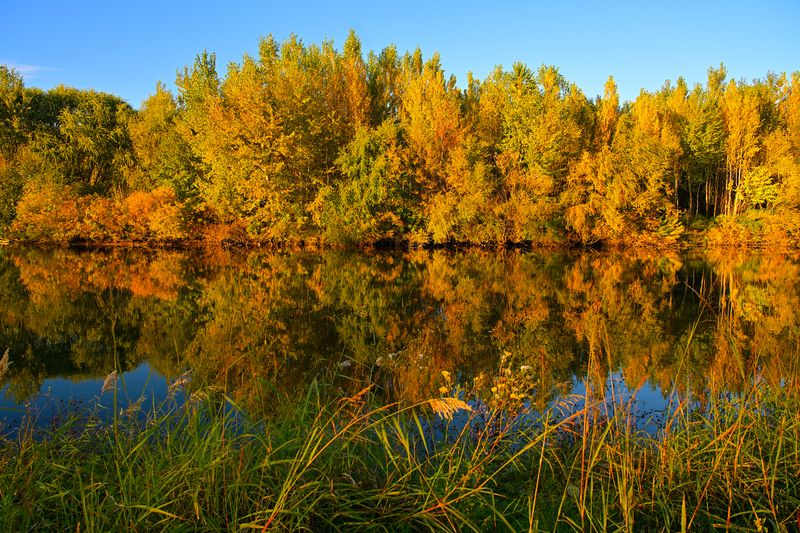 Autumn Mirror фото превью
