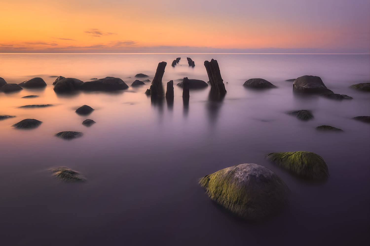 , Александр Аседач