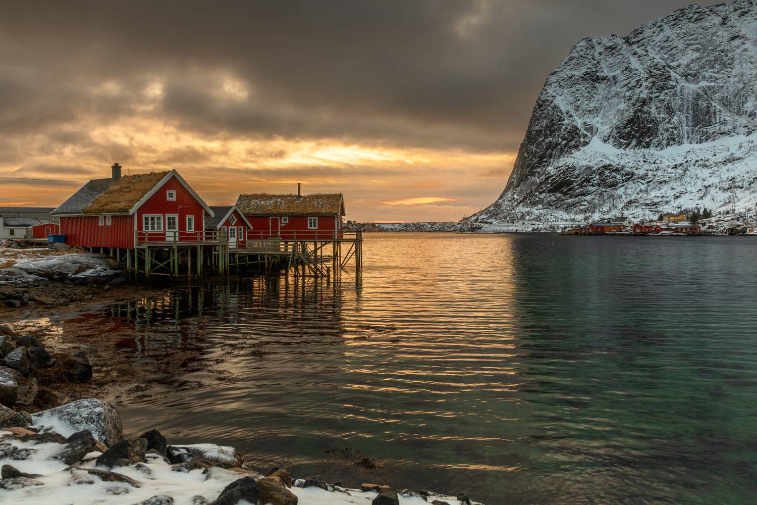 , Евгения Чех