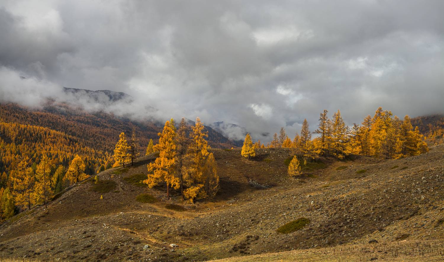россия, горный алтай,осень,утро, низкая облачность, Андрей Поляков