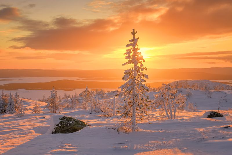 Солнечное настроение... фото превью