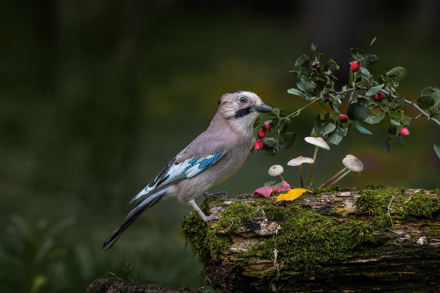 , Ожиганова Людмила