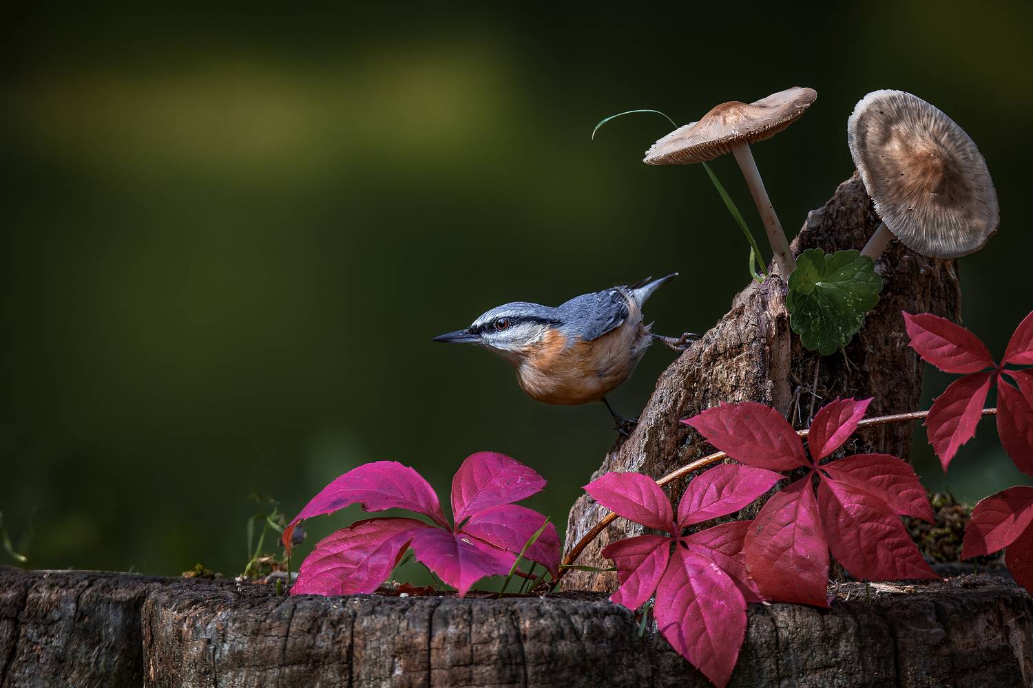 , Ожиганова Людмила
