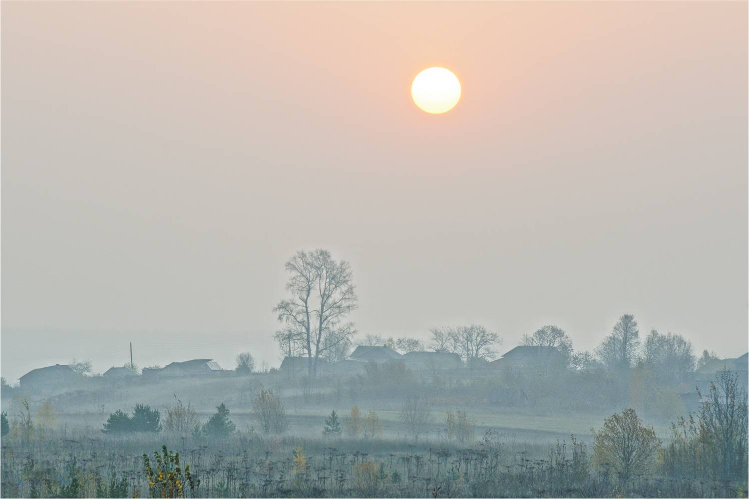 , Анатолий Гулин