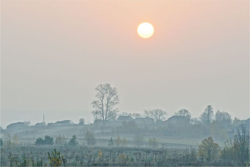 Утренняя дрёма фото превью