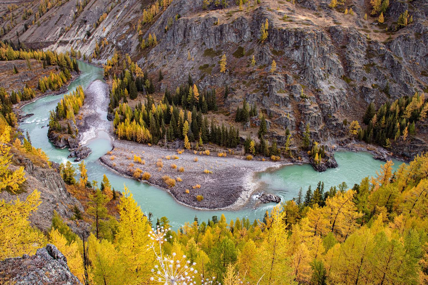 алтай, Добролюбова Тамара