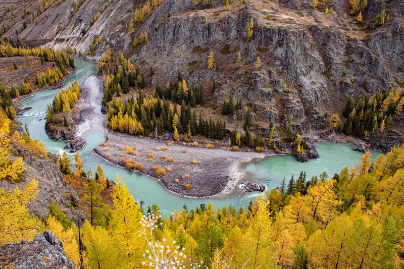 р.Аргут фото превью