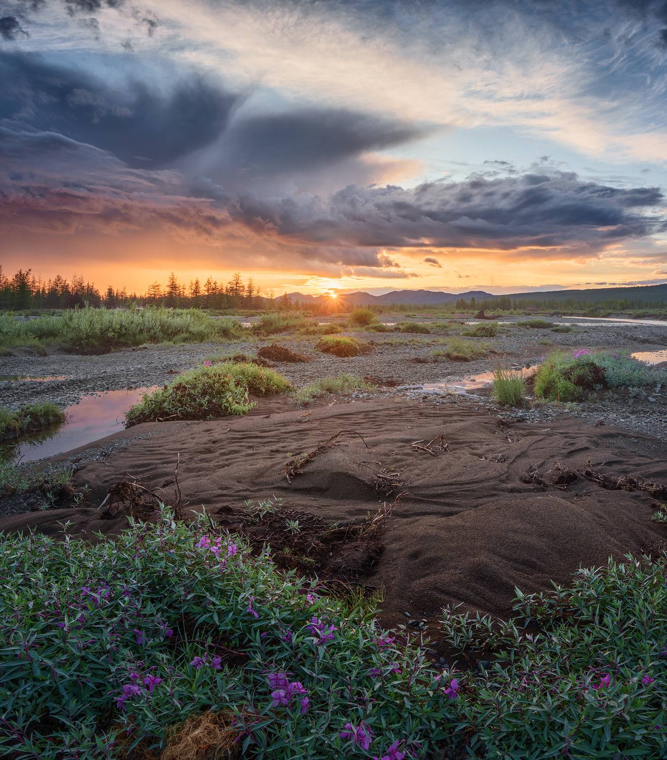 , Андреев Николай