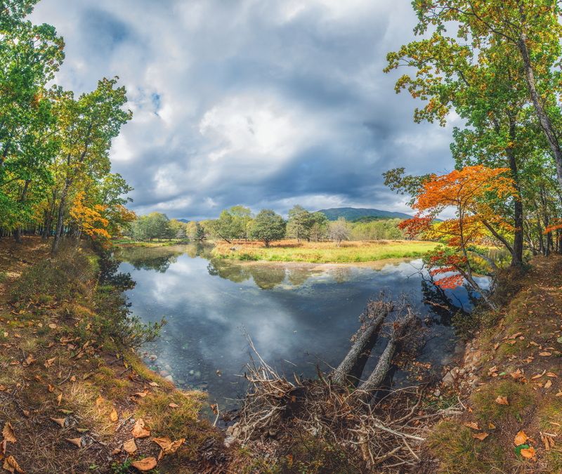 *** фото превью