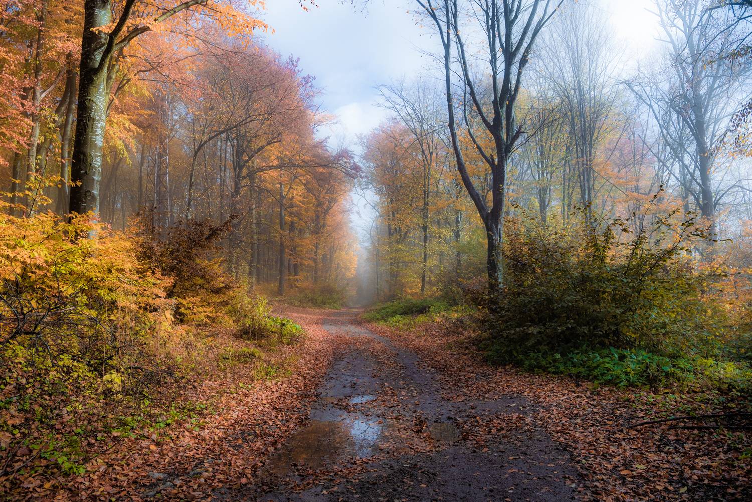 , Руслан Авдевич