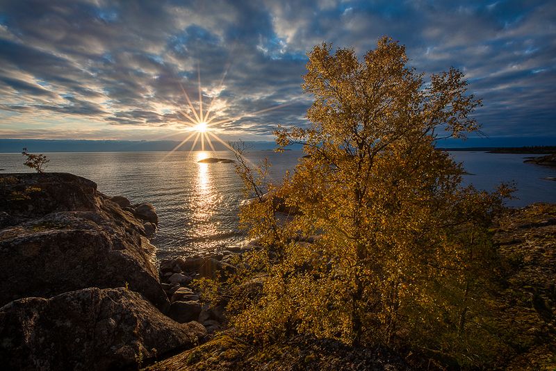 карелия, ладожское озеро, ладожские шхеры, осень. Золотое утро осени. Ладога. фото превью