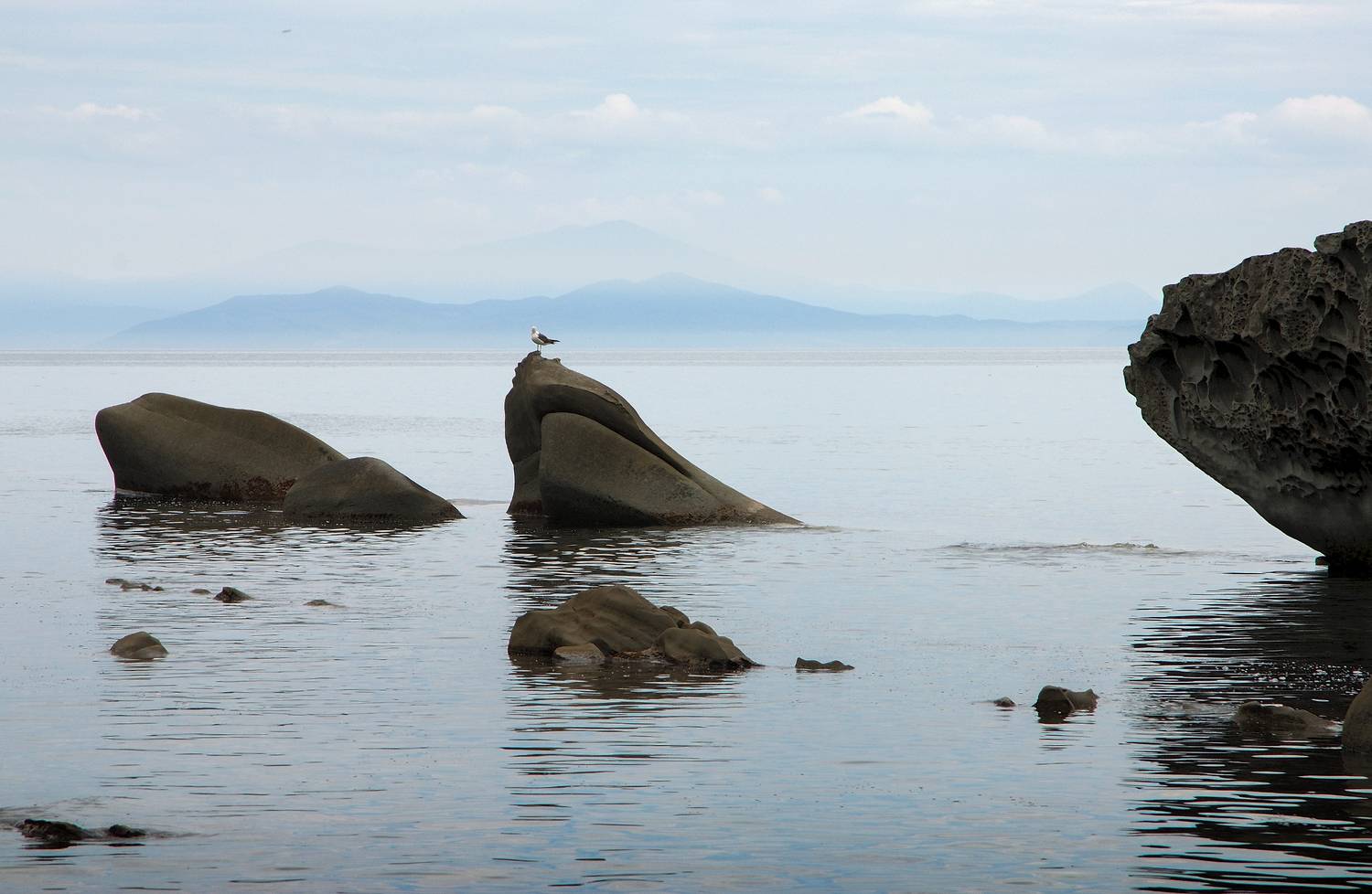 , Борис Леваков