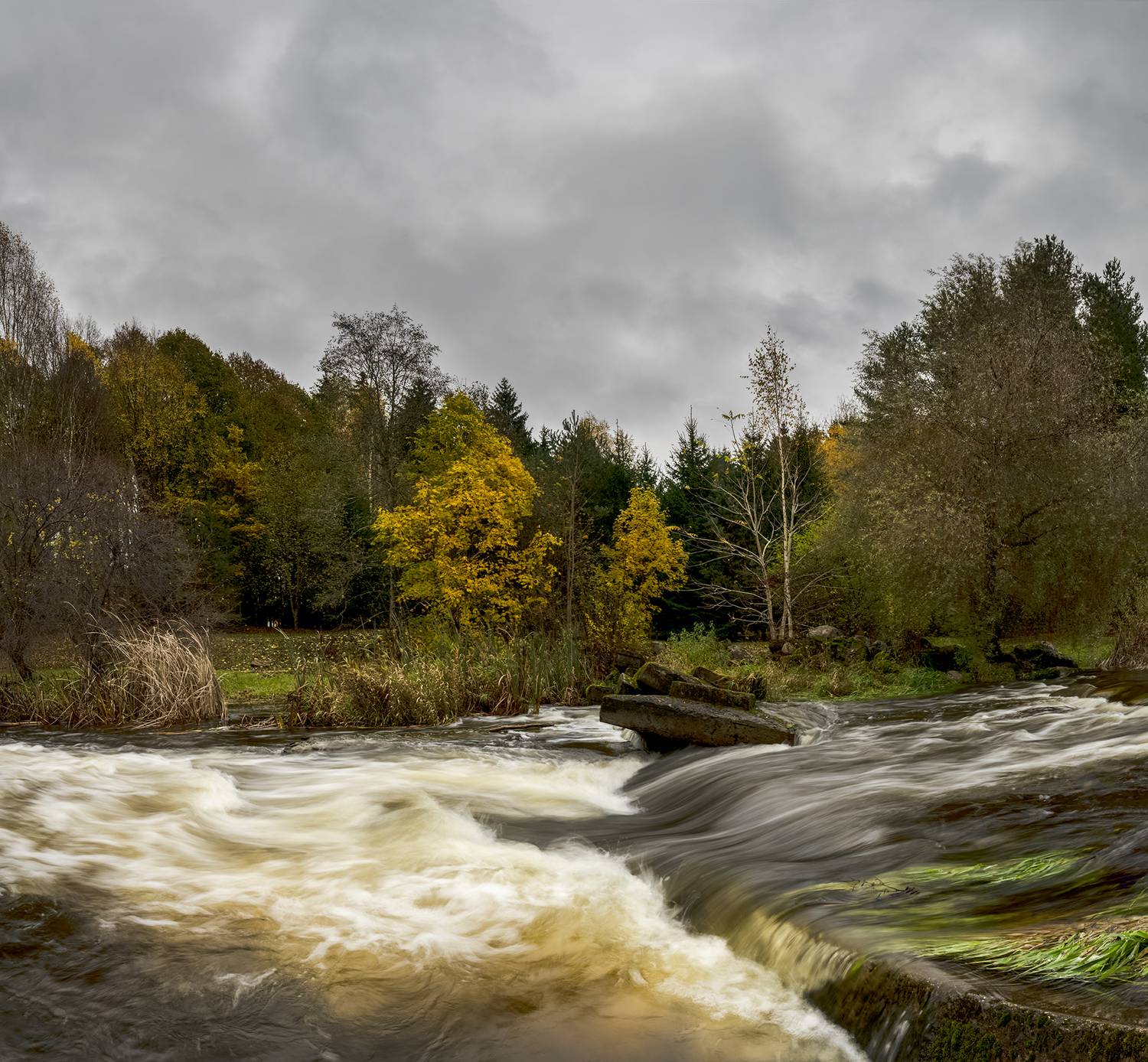 autumn river, Eugenijus Rauduve