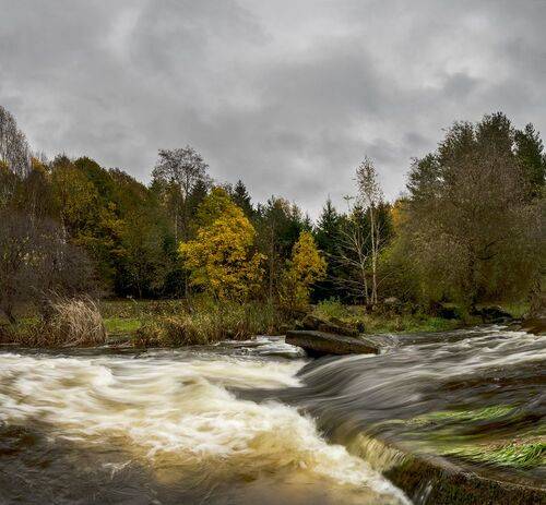 Autumn river