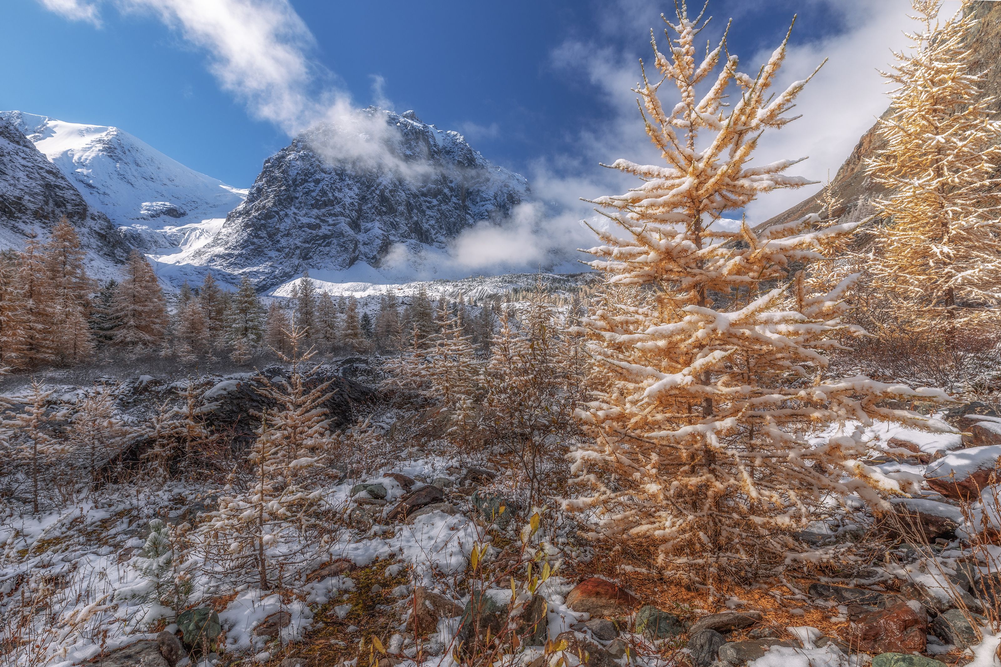Алтай  фото превью