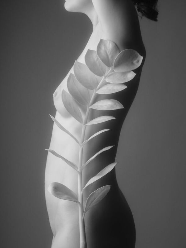 ню, ботаника, nude botanica, zamioculcas, замиокулькас Zamioculcas. Nude Botanica фото превью