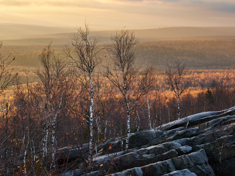 Конец золота фото превью