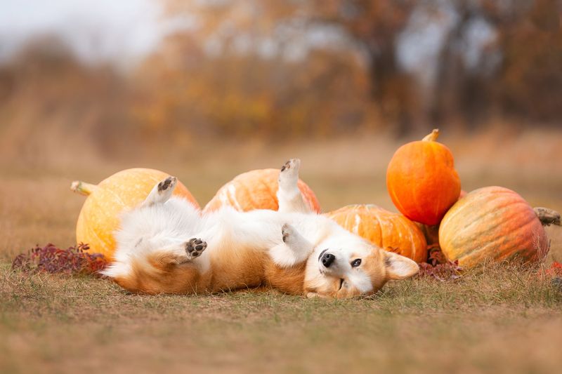 Жизнь удалась фото превью