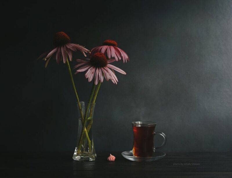 Эхинацея и чай фото превью