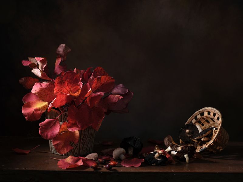 Осенняя с шампиньонами II фото превью