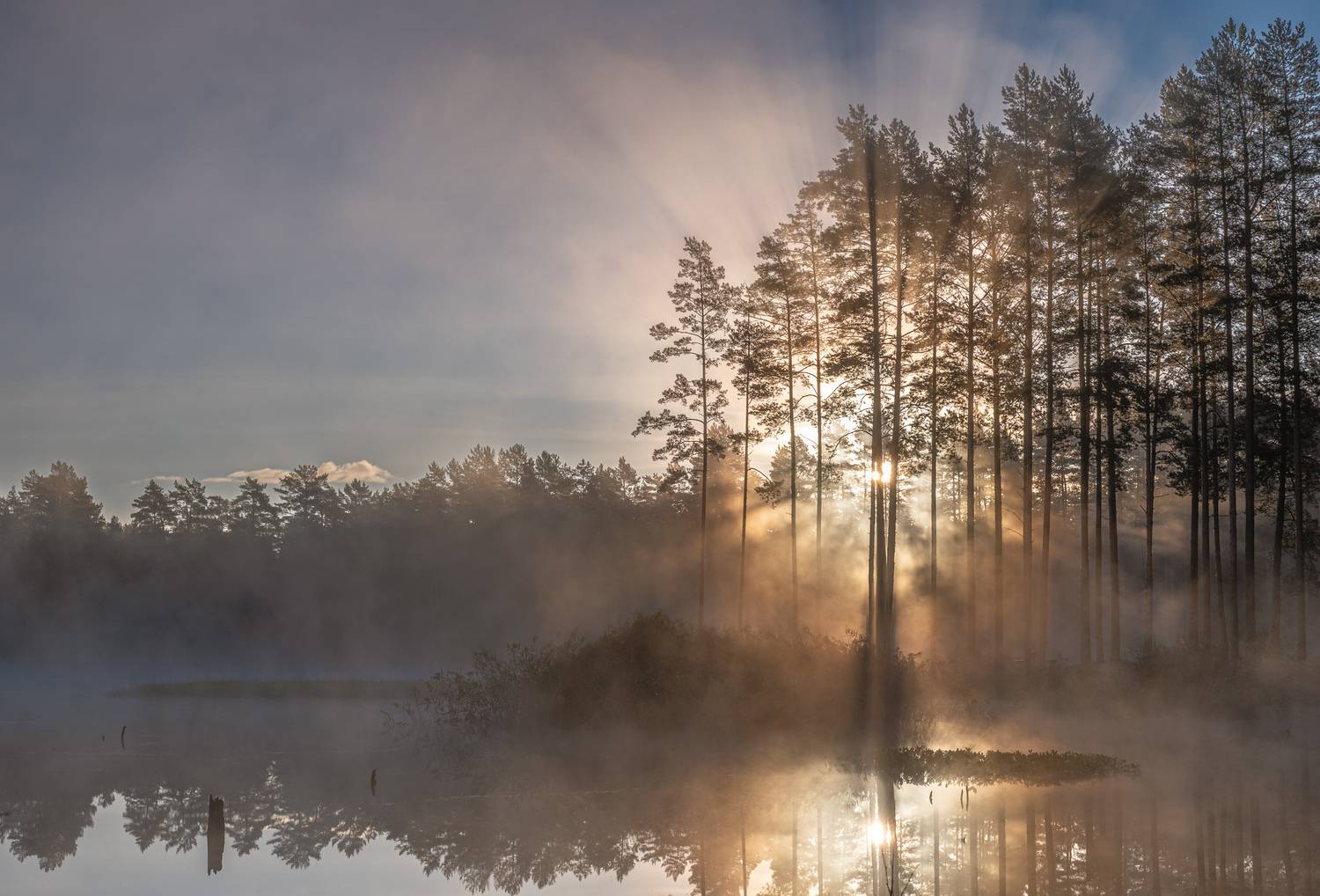 , Гордон Николай
