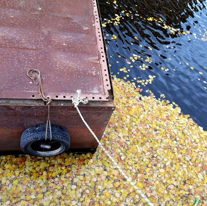 . фото превью