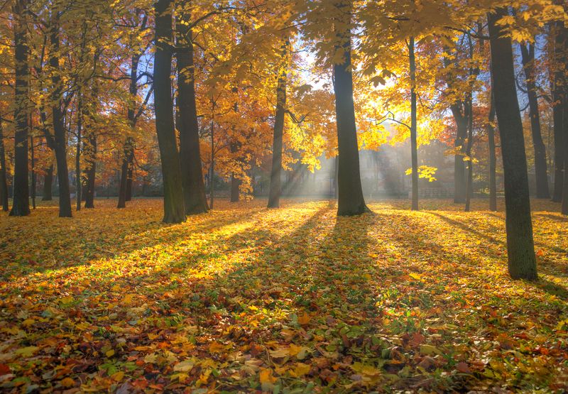 очей очарование... фото превью