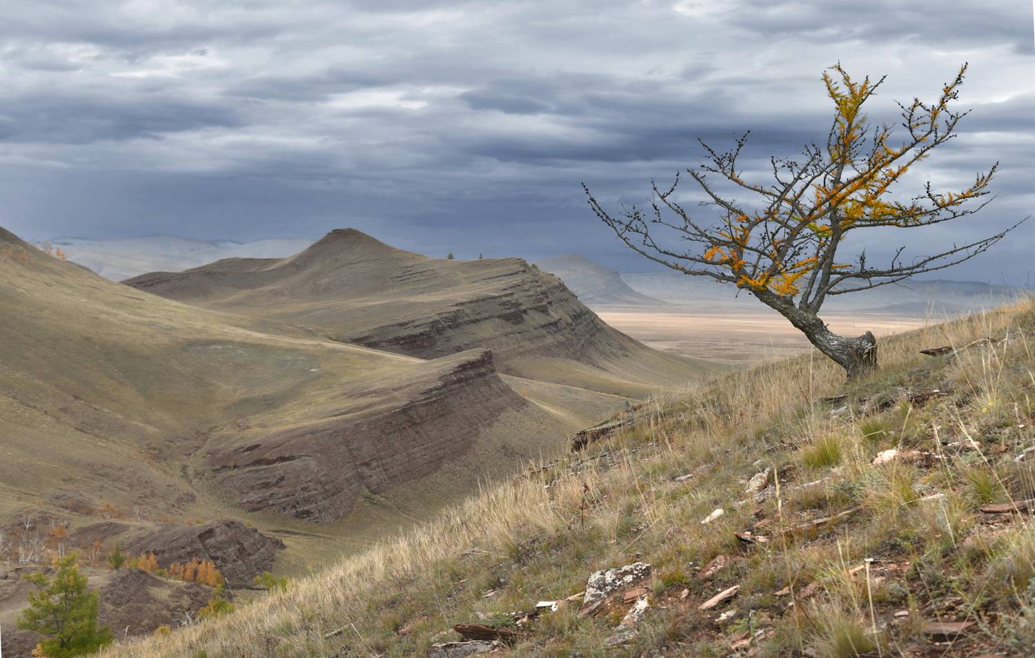 , Крат Светлана