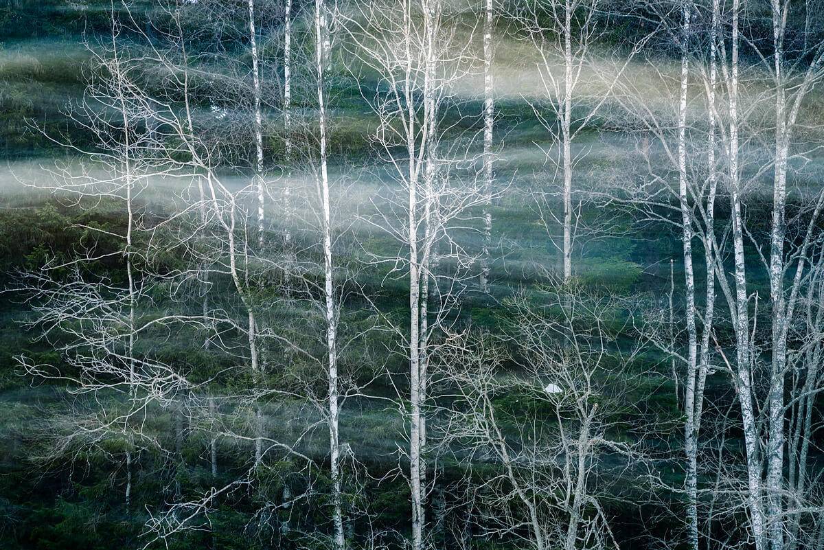 , Екатерина Васягина