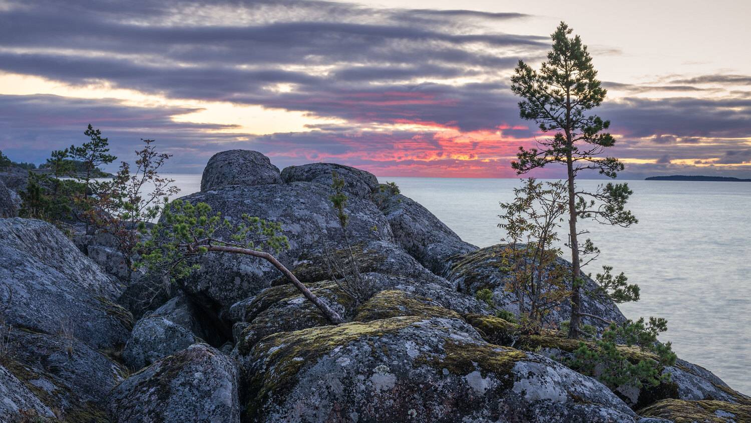 , Бушков Евгений