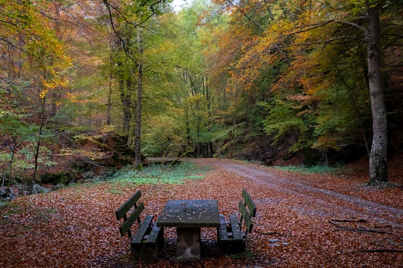 Cárdenas. фото превью