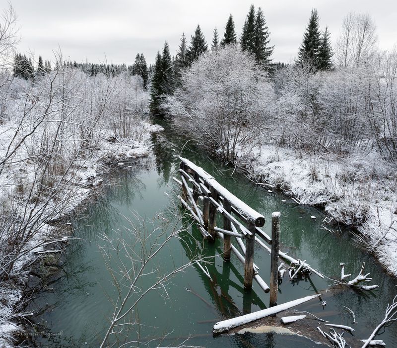 Первый снег. фото превью