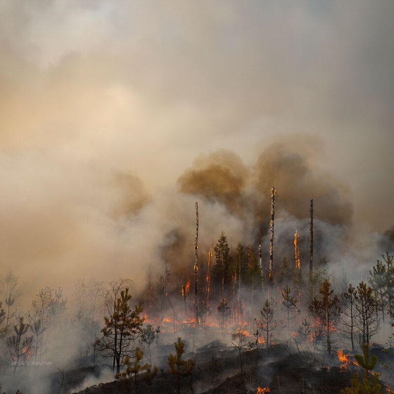 *** фото превью