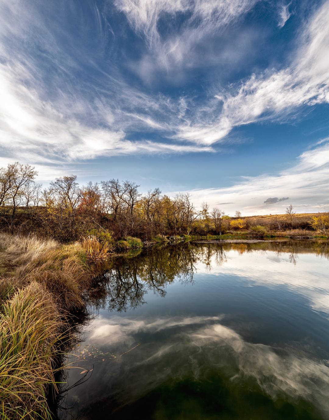 , Диденко Юрий