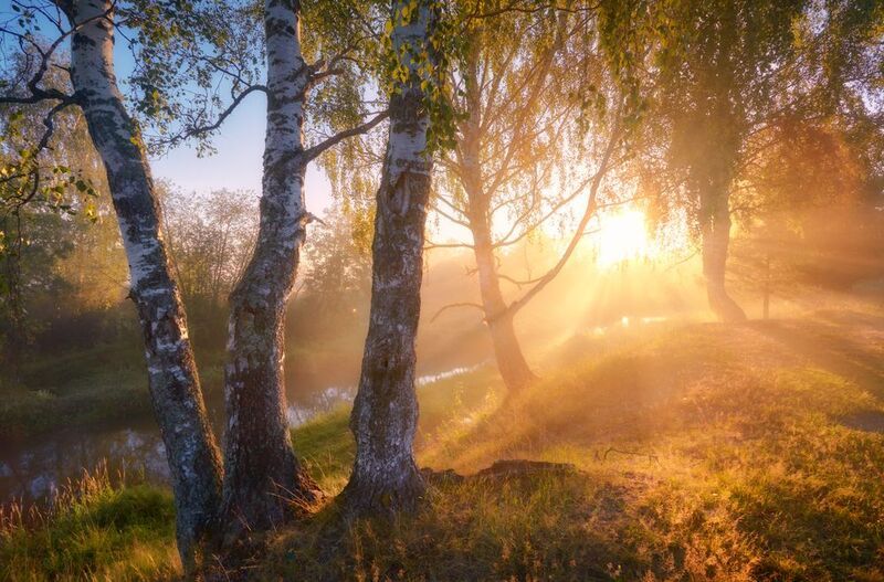Золотая секунда ... фото превью
