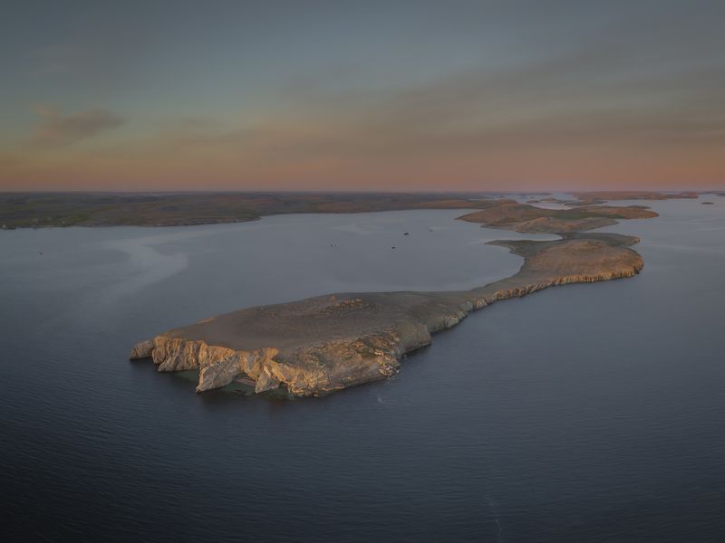 Кошачья лапка в море Баренца. Новая Земля фото превью