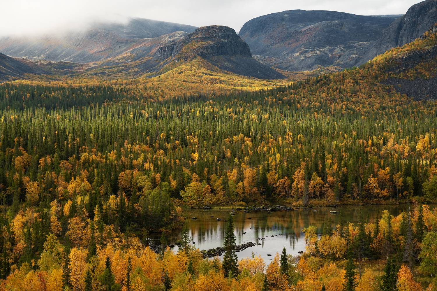 , Ян Сурогин