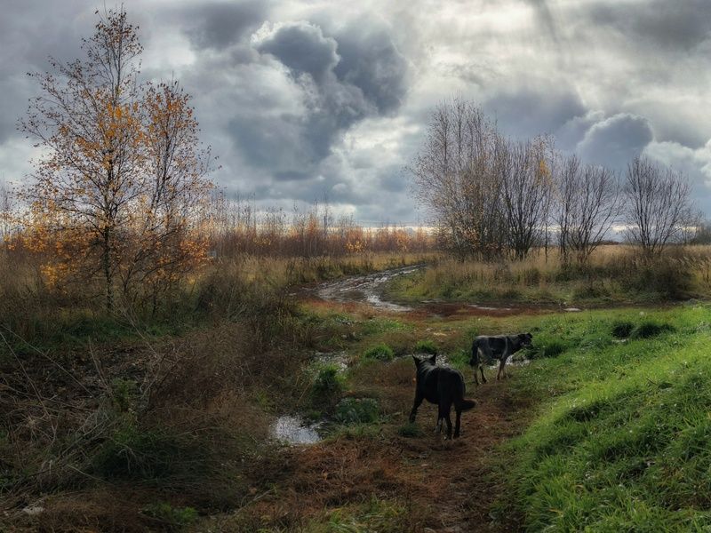 фото превью